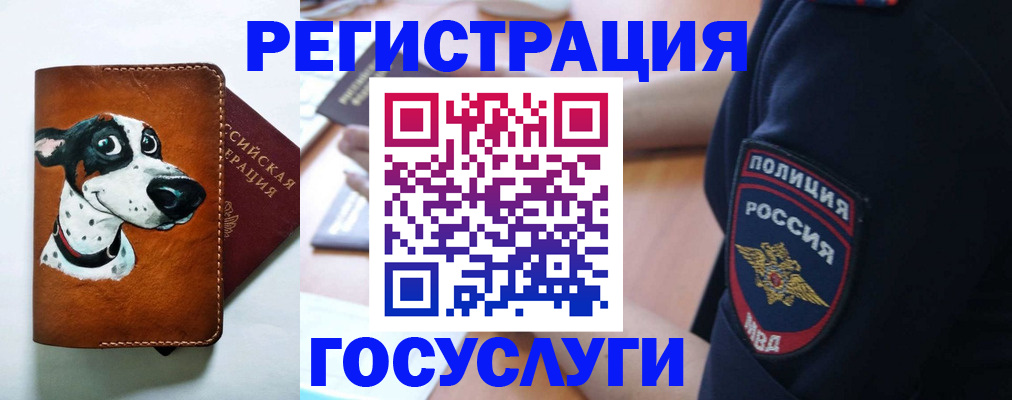 временная регистрация в квартире в Курганской области